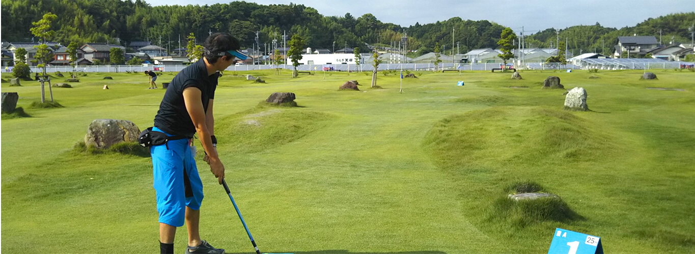 ハタチ BH5001 グラウンドゴルフ コース整備品 グラウンドゴルフ用旗 ブルー 27 10 HATACHI